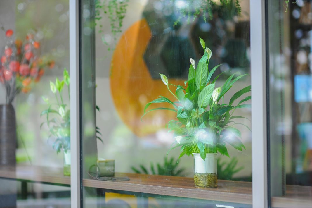 a photo of clean office windows